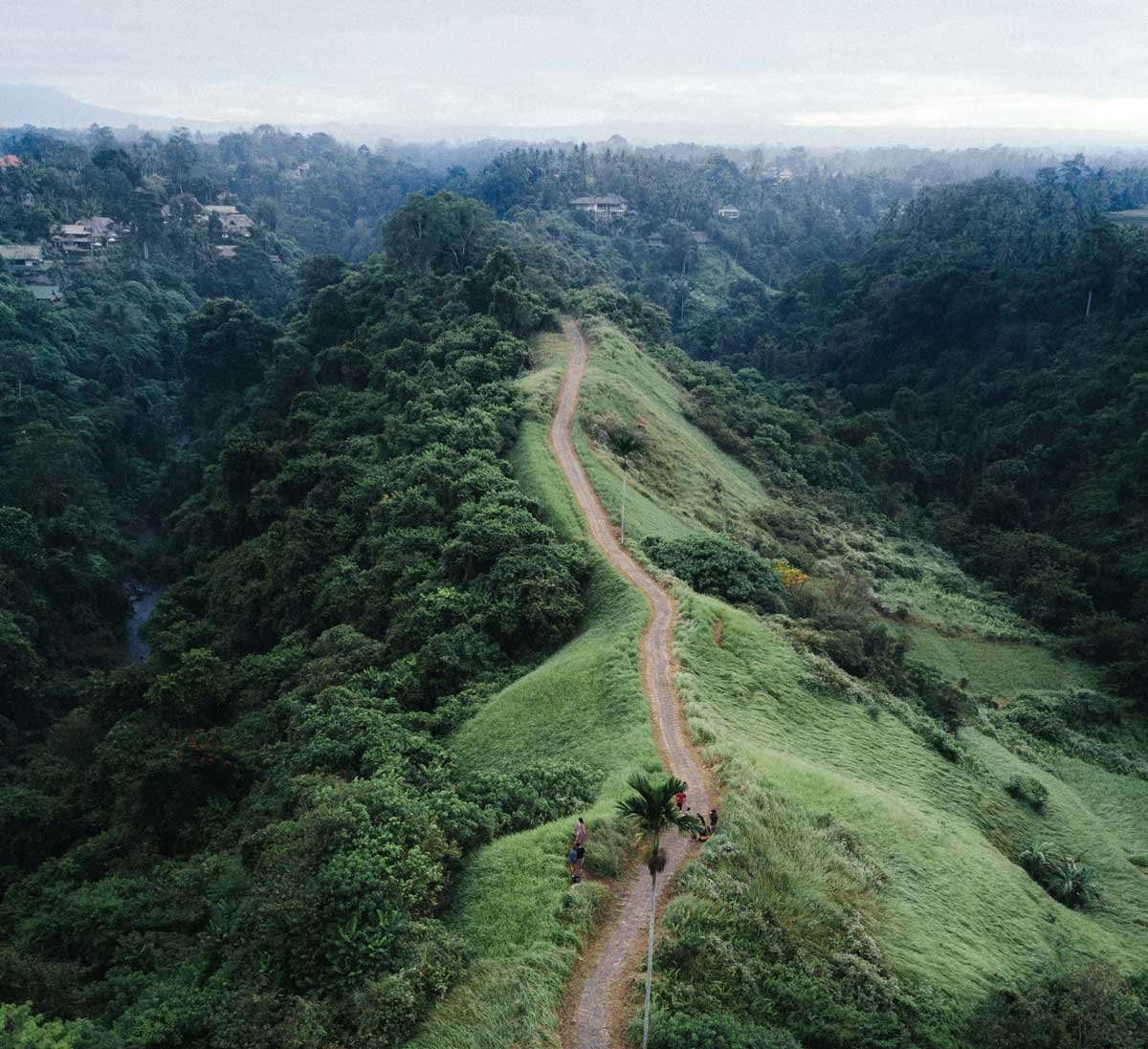The Campuhan Ridge walking trail near Ubud, Bali