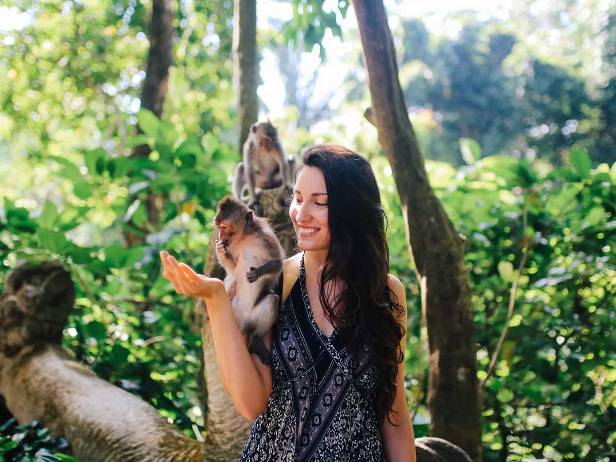 Long-tailed macaques at the Sacred Monkey Forest, Ubud